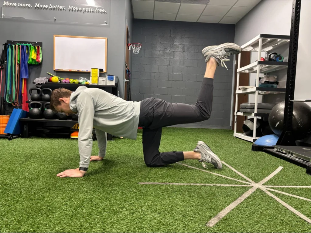 Hip controlled articular rotation (CAR) on hands and knees